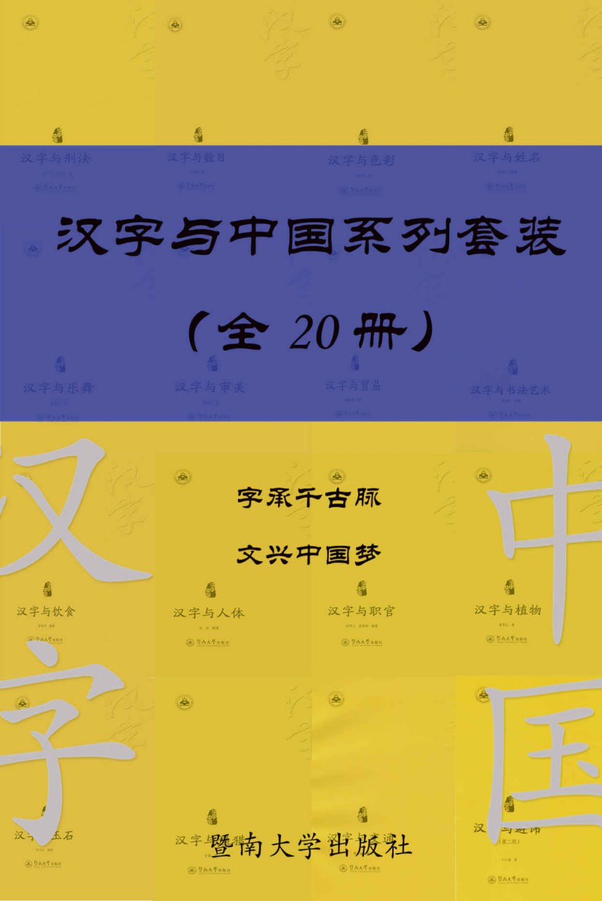 汉字与中国系列套装（共 20 册）  [pdf+全格式]