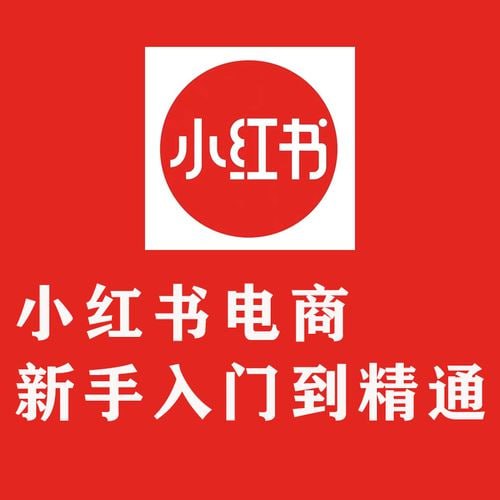 【小红书电商实操课】新手从入门到精通