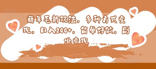 【薅羊毛新玩法】多种方式变现，日入200+，简单好做，副业变现