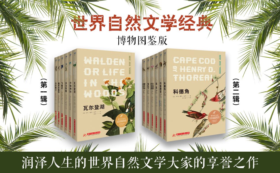 世界自然文学经典：博物图鉴版(共12册） 润泽人生的世界自然文学大家的享誉之作