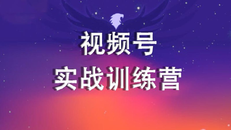 视频号0-1特训营：平台机制、拍摄剪辑、内容创作、爆款公式，实战案例分享