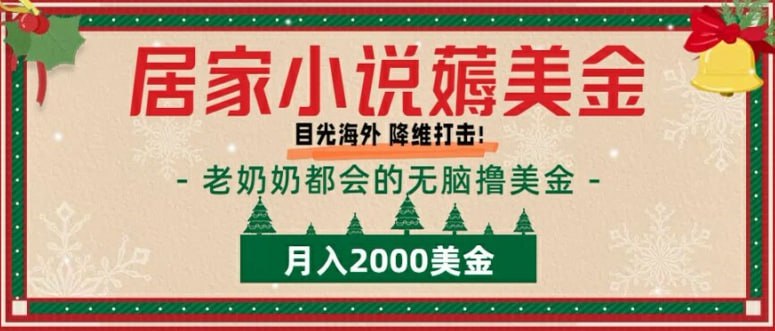 【居家小说薅美金】拆解海外撸美金项目月入2000美刀详细指导