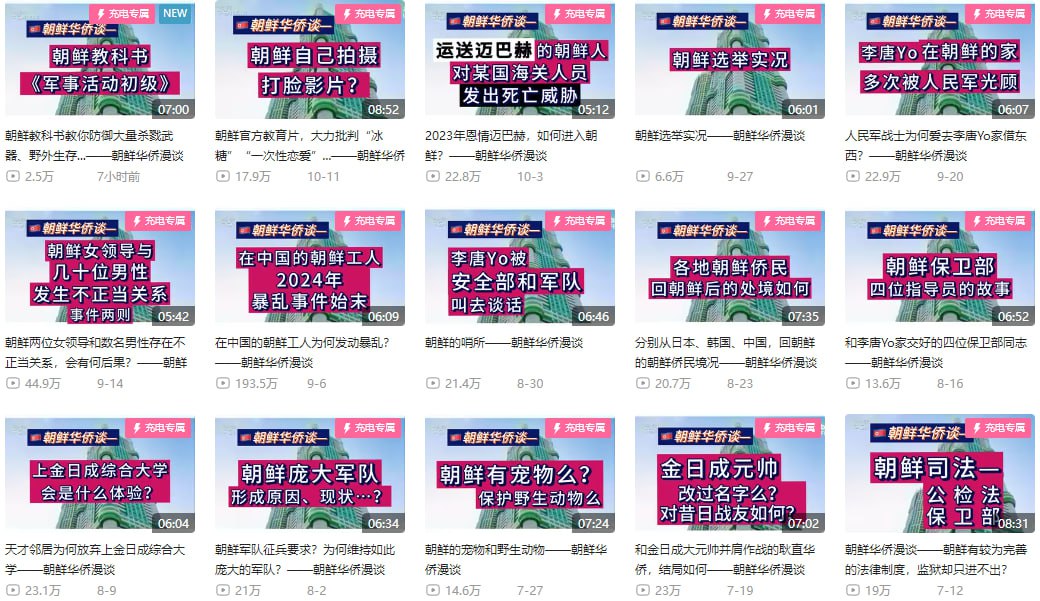 B站up主李唐yo付费充电视频【共43期】 用旁观者和亲历者的视角，带您走入真实的朝鲜