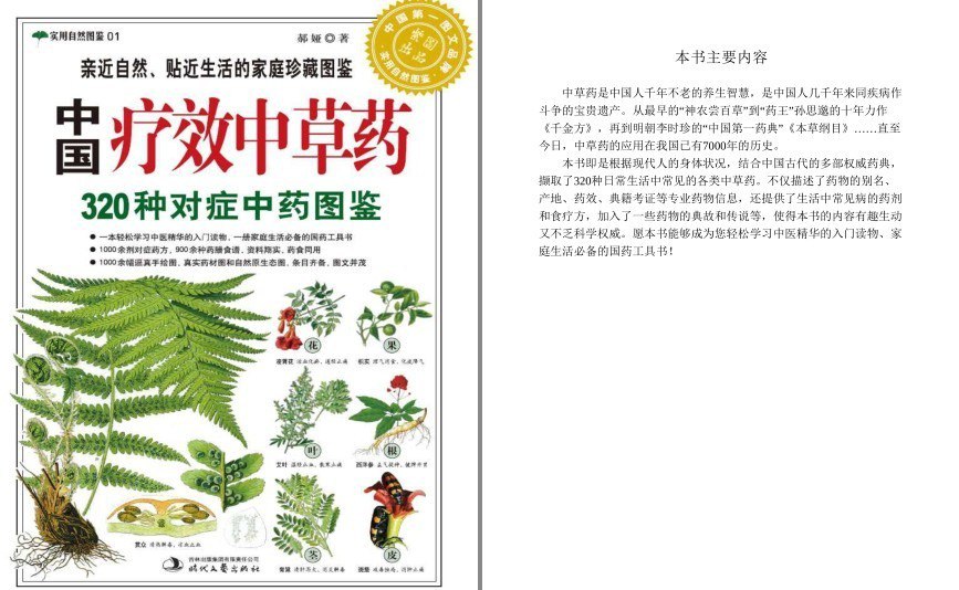 《中国疗效中草药320种对症中药图鉴 》实用自然图鉴[pdf]