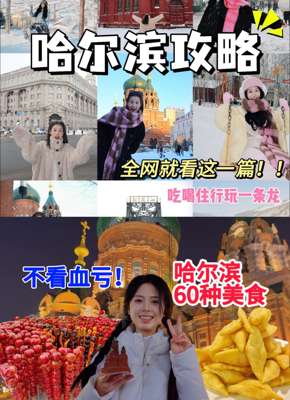 【视频】100个哈尔滨旅游美食攻略，包你看到爽！！[10.4GB]