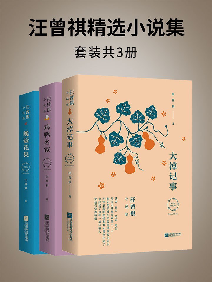 《汪曾祺精选小说集》套装共3册 汪曾祺短篇小说精选集[epub]