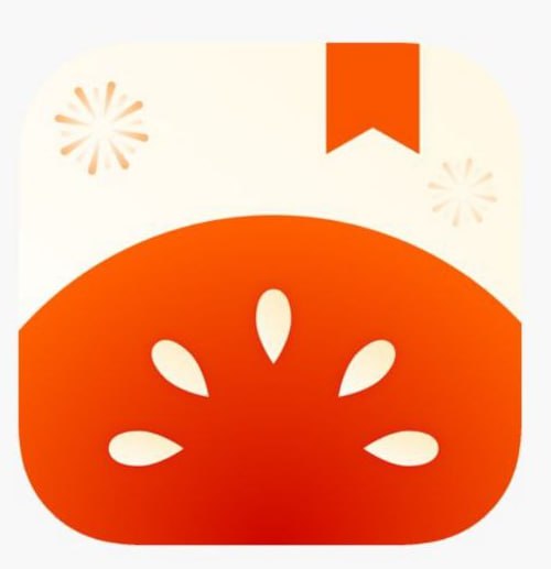 番茄免费小说 – 官方定制无广告版插图 番茄免费小说 - 官方定制无广告版