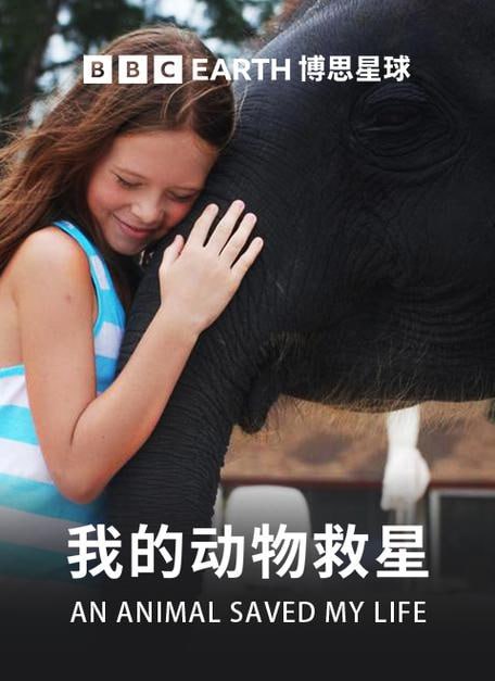 我的动物救星【BBC纪录片】【全6集 英语 中文字幕 1080P】插图 我的动物救星【BBC纪录片】【全6集 英语 中文字幕 1080P】