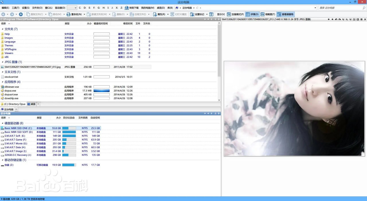 DirectoryOpus(文件管理器) v13.16.5 电脑版 专业版