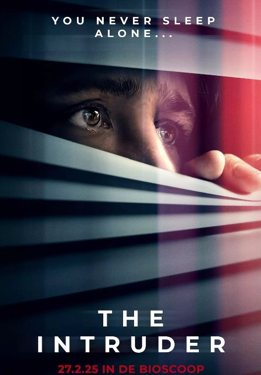 疑影夜袭 The Intruder (2025)[4.6G][英语中字][1080P]